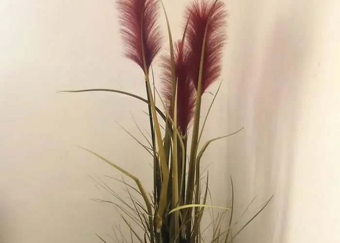 Tatil Evi Paradise Island House *