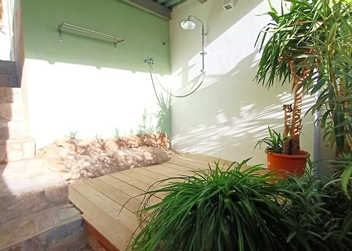 Paradise Island House