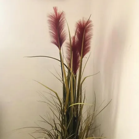 Ferienhaus Paradise Island House *